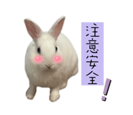 715623520