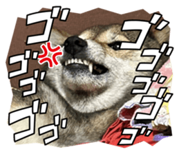 715646216