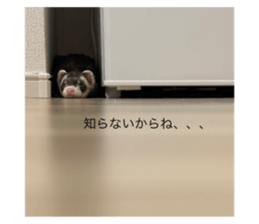 715650479