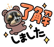 715672191