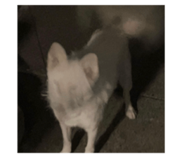 715676926