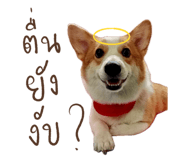 715760257