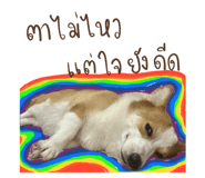 715760258