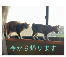 715767273