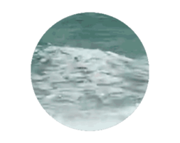 715781388