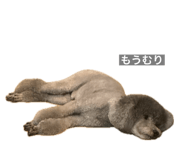 715782765