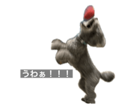 715782767