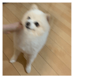 715788704