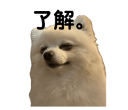 715788706