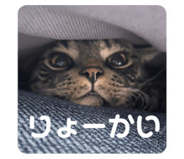 715811241