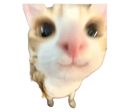 715836669