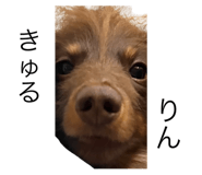 715841895