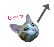 715850009