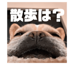 715853349