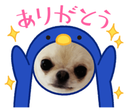 715867808