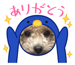 715904231
