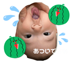 715963381