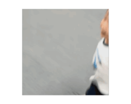 715970981