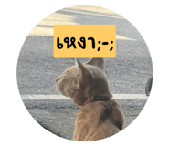 715971442