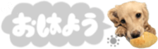 715977397