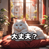 715997035