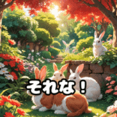 715997046