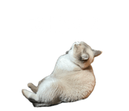 716026170