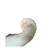 716026171