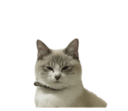 716026174