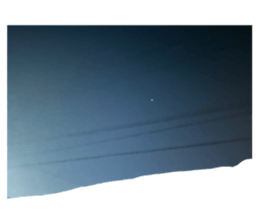 716031394