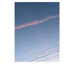 716031396