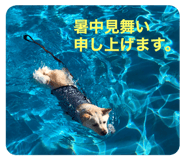 716033755