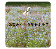 716033766