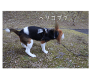 716060203