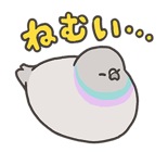 716060495