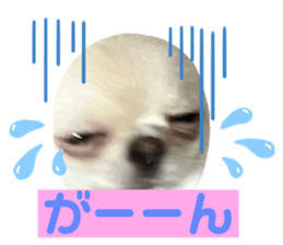 716067070
