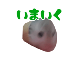 716077401