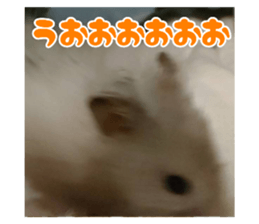 716077413