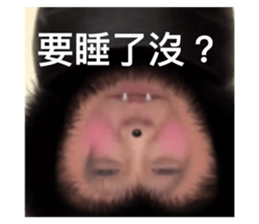 716103973