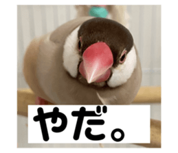 716116997