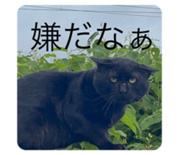 716184683