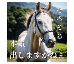 716202651