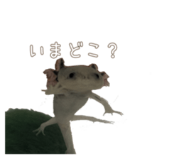 716203516