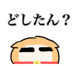 716203697