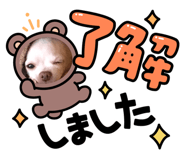 716213724