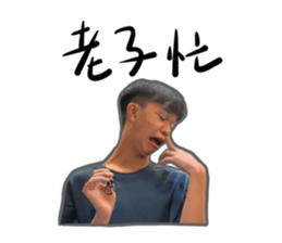 716241372