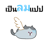 716246564