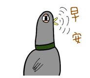 716262290
