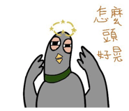 716262291