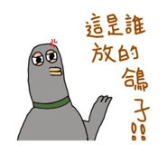 716262292